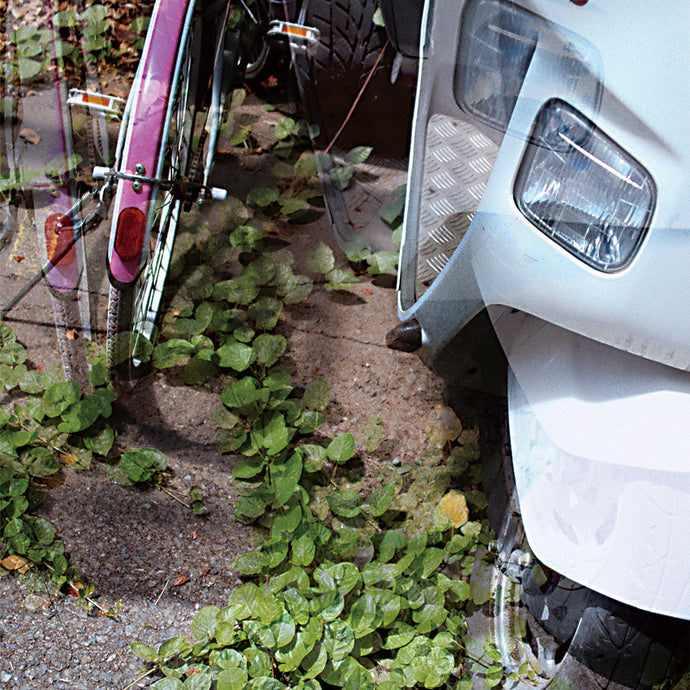 散歩をすると怪我をする